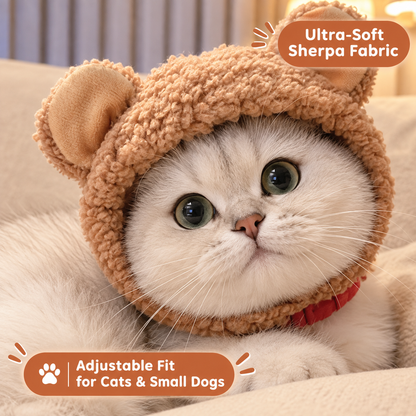 Teddy Ear Hat